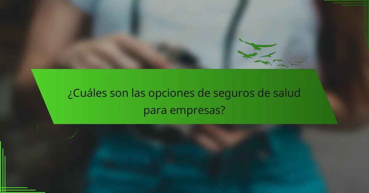 ¿Cuáles son las opciones de seguros de salud para empresas?