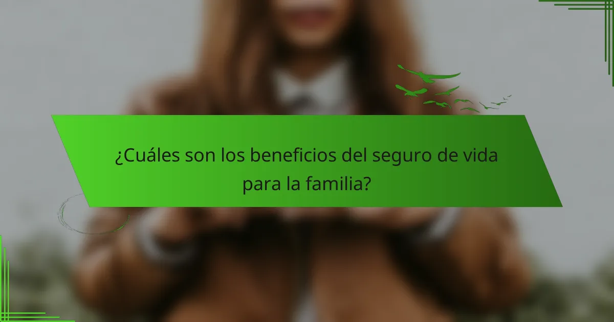 ¿Cuáles son los beneficios del seguro de vida para la familia?