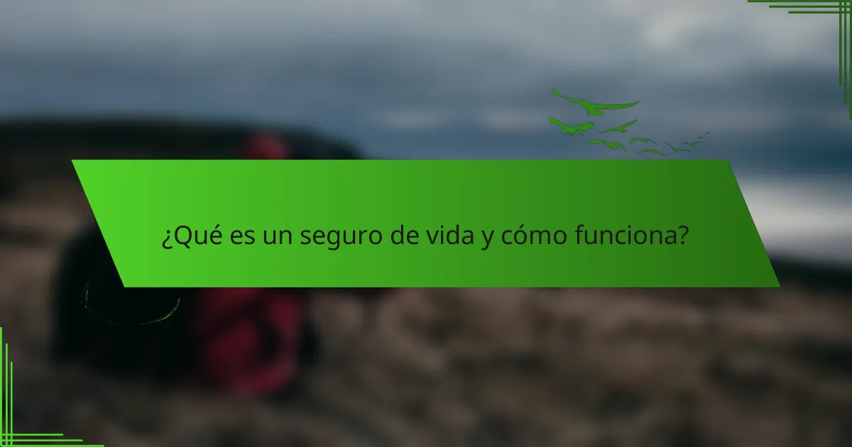 ¿Qué es un seguro de vida y cómo funciona?